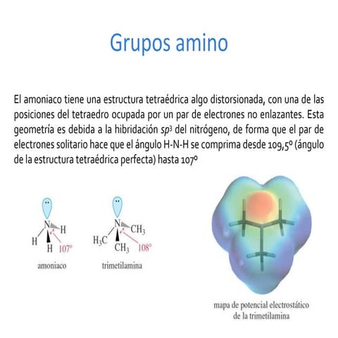 Grupos amino | PPTX