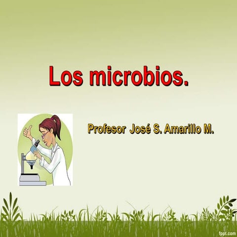 Grupos de microbios