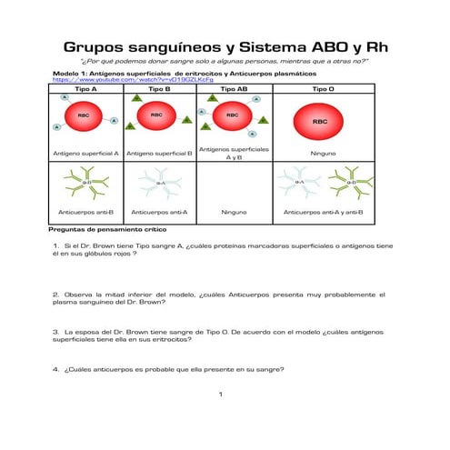 Grupos sanguíneos ABO y Rh