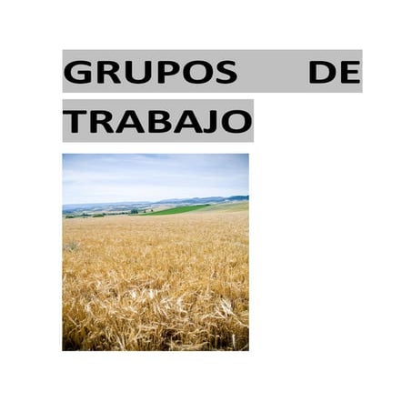 Grupos trabajo REMEDIA Fund. Bio