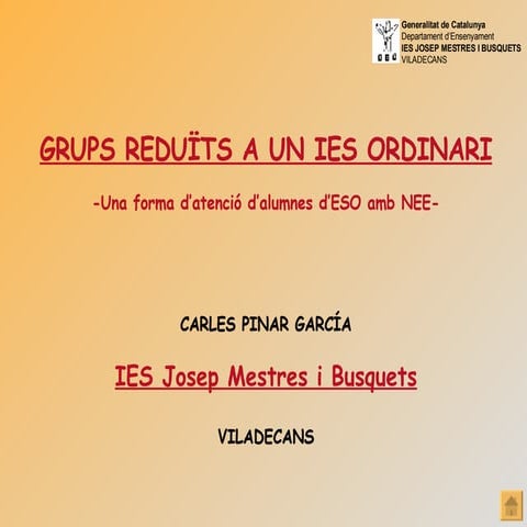 Grups Reduïts a l'ESO