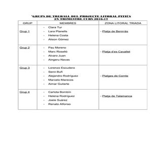 Grups treball 2n trimestre