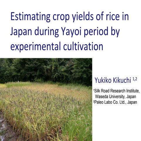 Estimating Crop Yields of Rice During Yayoi Period by Experimental Cultivation