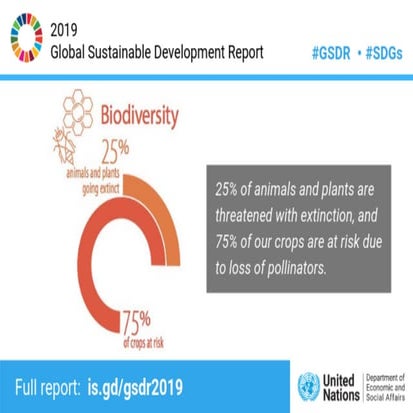 Global Sustainable Development Report (GSDR) | PDF