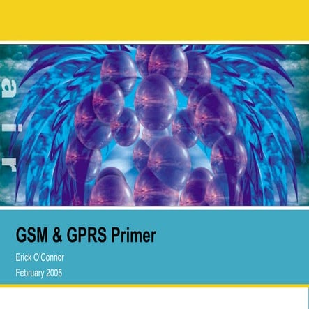 GSM & GPRS Primer