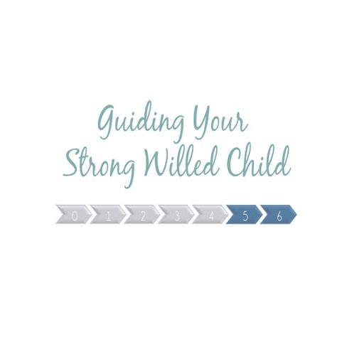 Guiding Your Strong Willed Child, Week 4