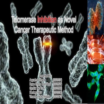 Telomerase Inhibition as Novel Cancer Therapeutic Method