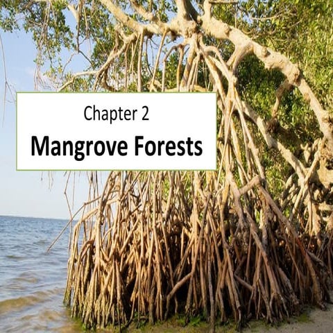 Mangroves