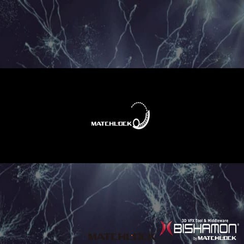 GTMF 2016:BISHAMON最新情報と無駄の無いデータ制作のポイント マッチロック株式会社（BISHAMON）