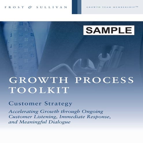 Latest Frost & Sullivan’s Toolkit -Customer Strategy (Sample)