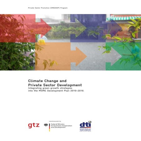 Climate Change and Private Sector Development