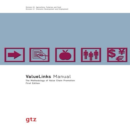 GTZ Valuelinks Manual