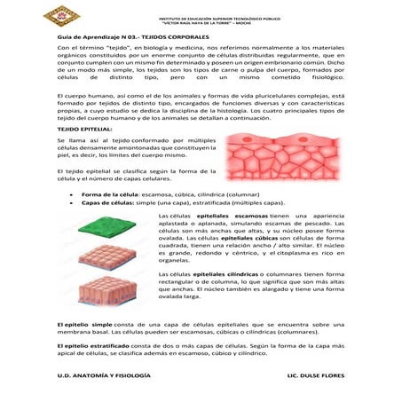 Guía de Aprendizaje N 03_TIPOS DE TEJIDOS.pdf