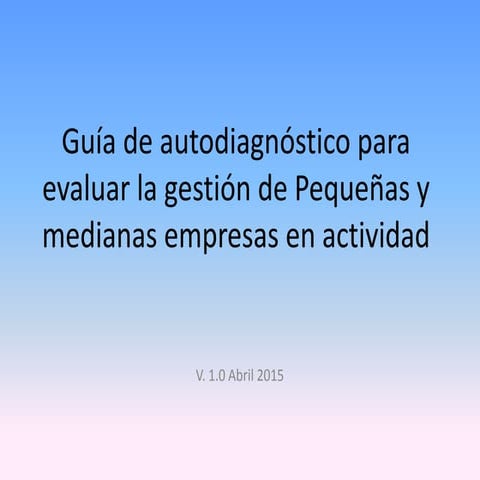Guía de auto diagnóstico  PYMES