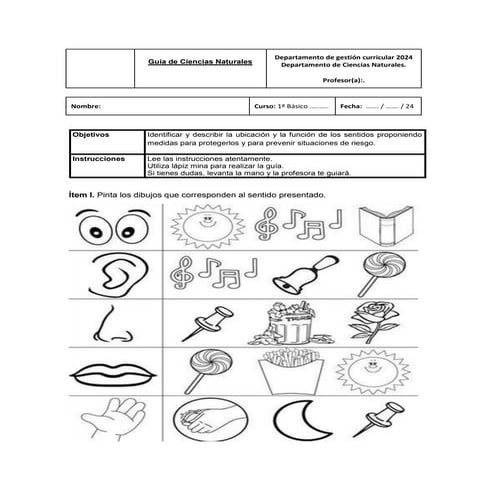 Guía de Ciencias naturales primero básico los sentidos.pdf