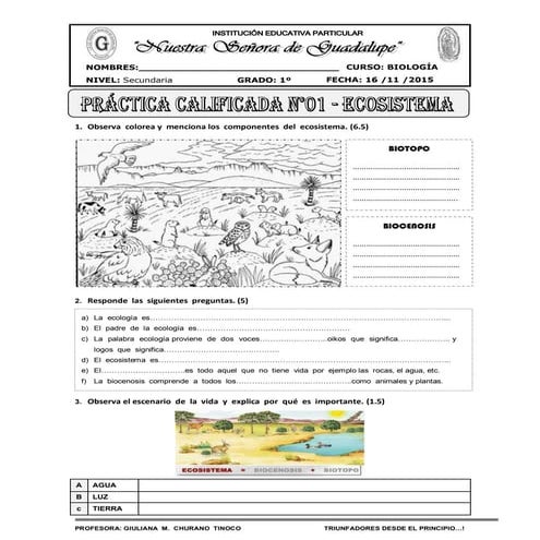 Guía de ecología ecosistema | PDF