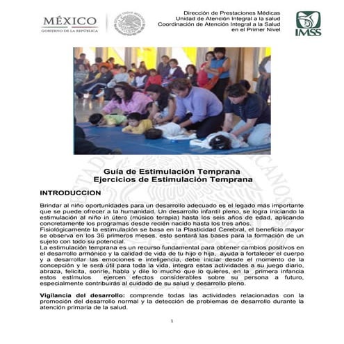 INSTRUCTIVO LLENADO FORMATO RAIS MED PRE | PDF