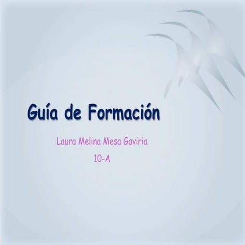 Guía de Formación 