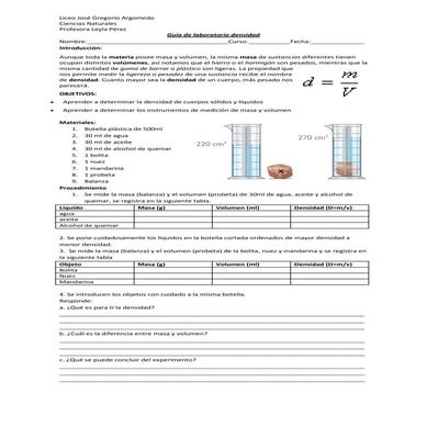 Guía de laboratorio densidad