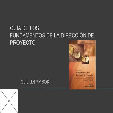 GuíA Del Pmbokpare1