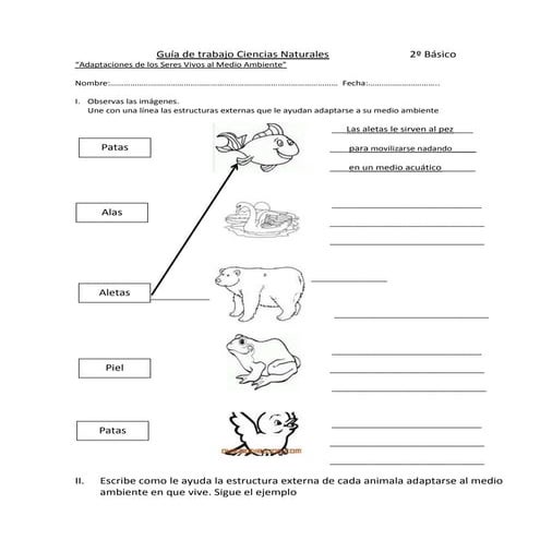 Guía de trabajo adaptaciones de los seres vivos al medio ambiente. ciencias n...