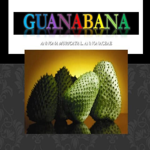 Guanabana