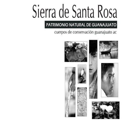 Sierra de Santa Rosa: patrimonio natural de Guanajuato