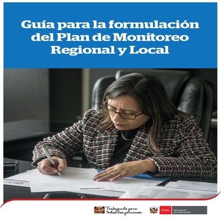 Guía plan monitoreo 2017
