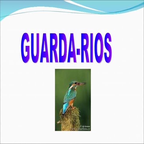Guarda Rios | PPT