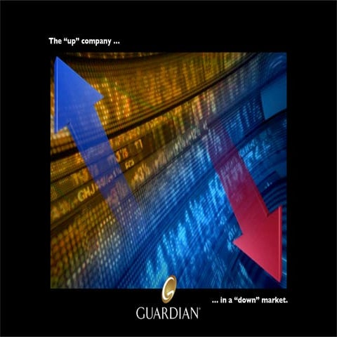 Guardian pitch kit 1