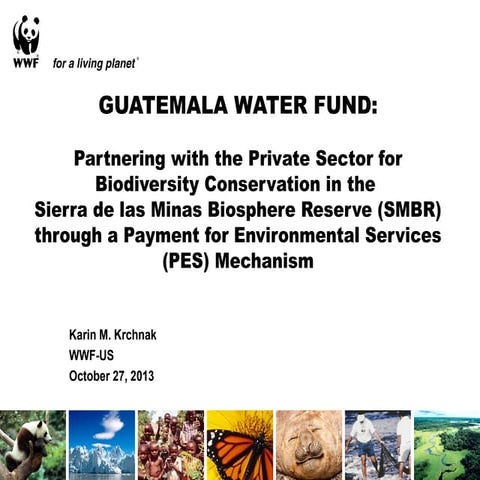 GUATEMALA WATER FUND:  Partnering with the Private Sector for Biodiversity Co...