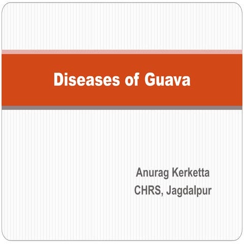 Diseases of Guava