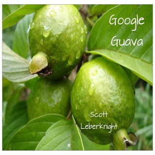 Google Guava