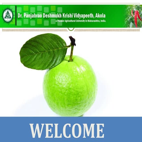 EVALUATION OF GUAVA NECTAR DURING STORAGE | PPT
