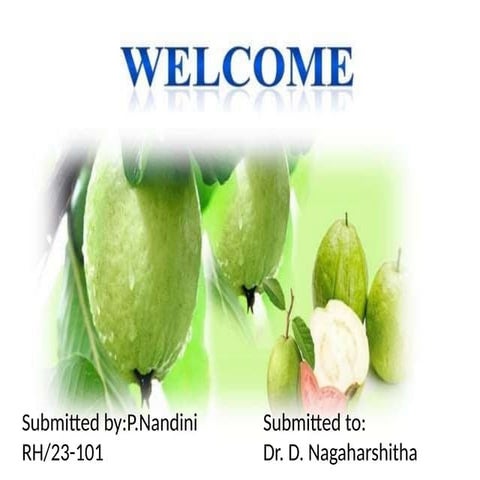 Guava cultivation production technology | PPTX