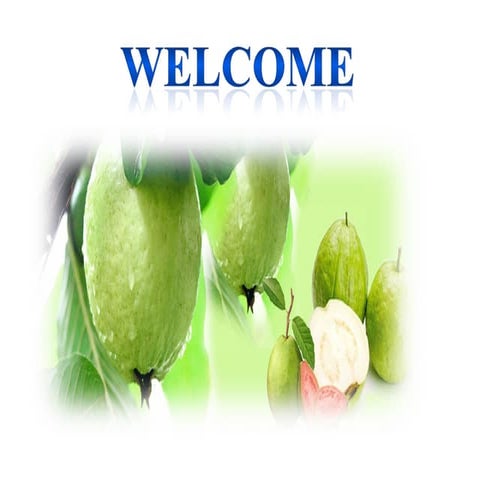 Guava production technology