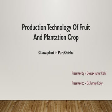 Comprehensive Guide to Guava Production Technology and Plantation Crop ...