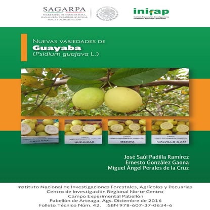 Guayaba
