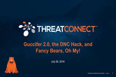Guccifer 2.0 the DNC Hack, and Fancy Bears, Oh My!