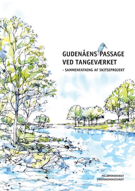 Gudenåens Passage ved Tangeværket