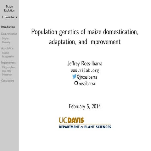 Population genetics of maize domestication, adaptation, and improvement
