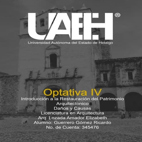 Optativa IV Fundamentos de Calidad- Daños y causas