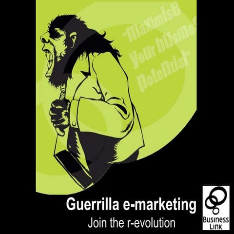 Guerrilla e-marketing presentation 2011 (v1.4 for upload)