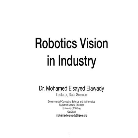 Robotics Vision in Industry: Indonesia