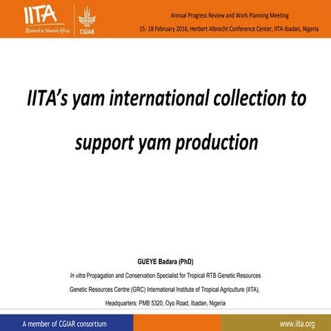 Africa Yam: A project to strengthen yam breeding in west Africa. | PPTX