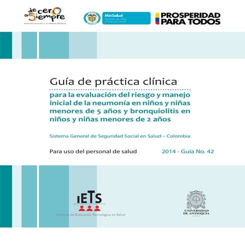 Guia  42 completa ira