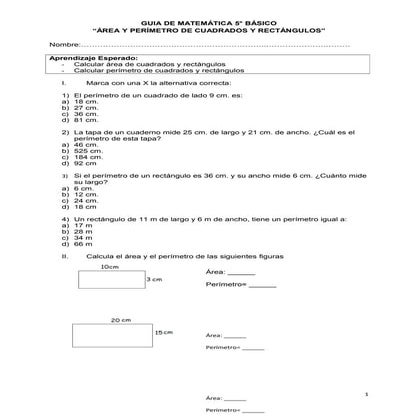 Guia area perimetro 5° básico