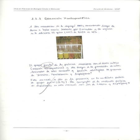 Guia biologia celular y molecular parte 2