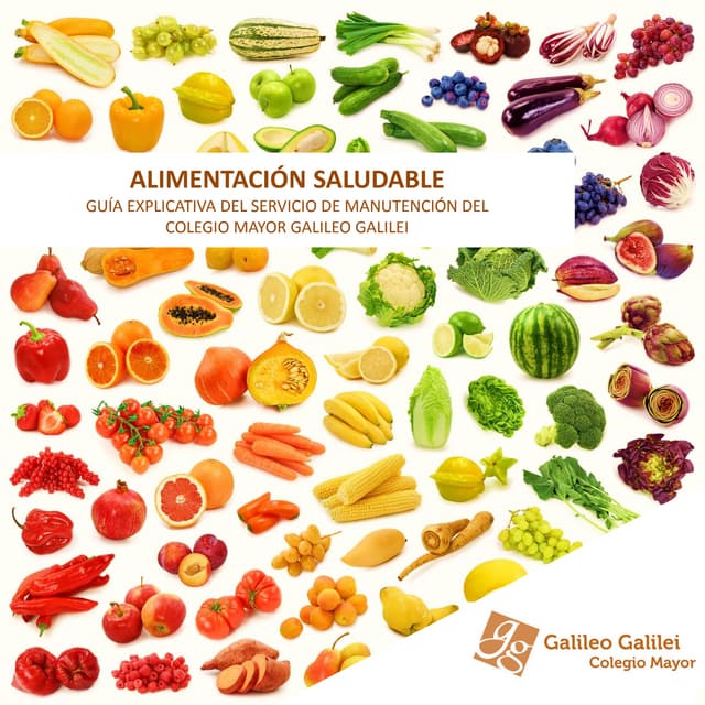 Guia-explicativa-de-alimentación-saludable.pdf
