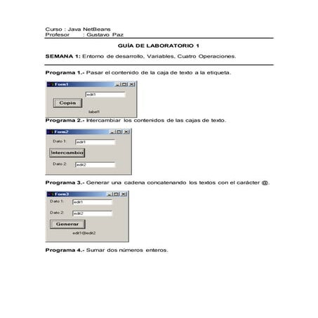 Ejercicios de netbeans | PDF